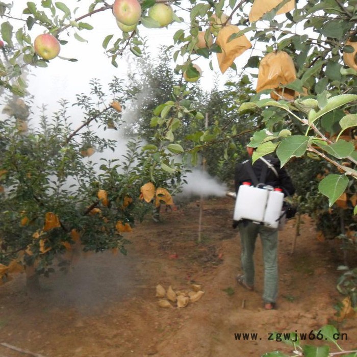 座驾式多喷头打药机 大田专用打药机型号 果园弥雾机图片图7