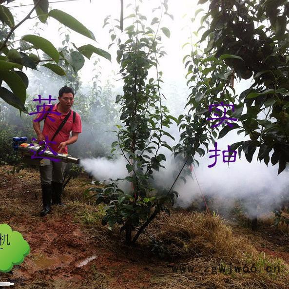座驾式多喷头打药机 大田专用打药机型号 果园弥雾机图片图2