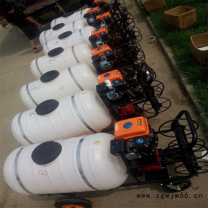 手推高压打药车 双喷头汽油打药车报价 厂家园林汽油喷雾器图8