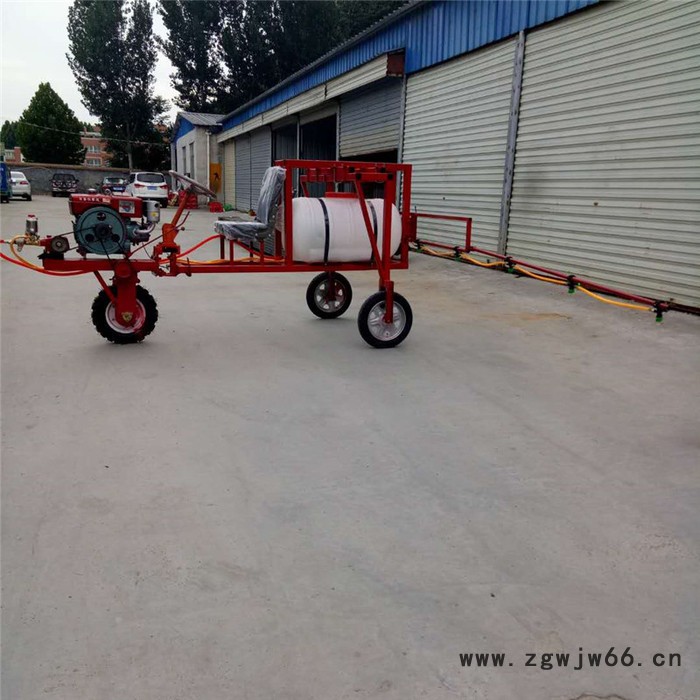 手推高压打药车 双喷头汽油打药车报价 厂家园林汽油喷雾器图4