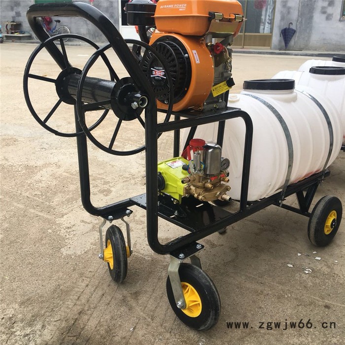 手推高压打药车 双喷头汽油打药车报价 厂家园林汽油喷雾器图2