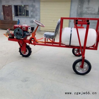手推高压打药车 双喷头汽油打药车报价 厂家园林汽油喷雾器