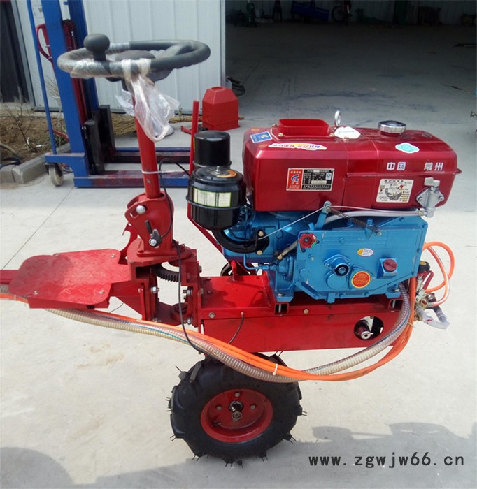 手推高压打药车 双喷头汽油打药车报价 厂家园林汽油喷雾器图7