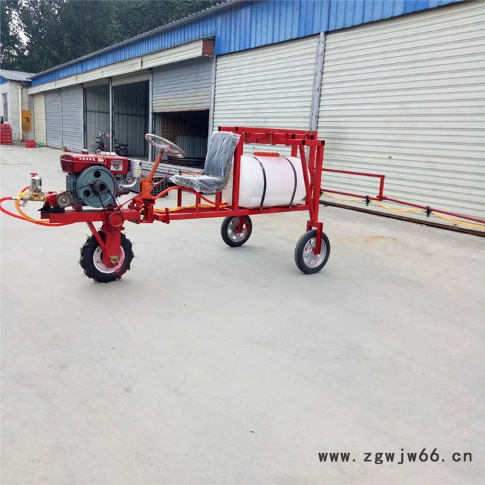 手推高压打药车 双喷头汽油打药车报价 厂家园林汽油喷雾器图5