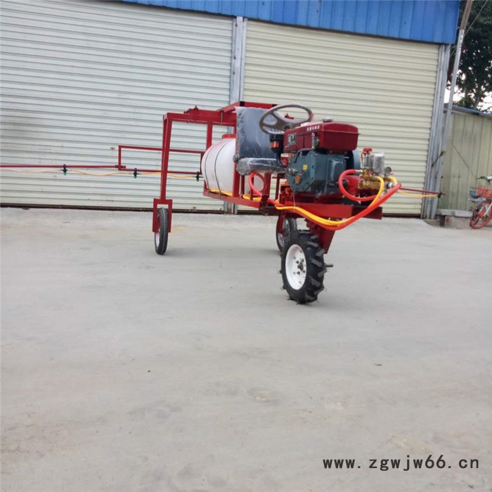 手推高压打药车 双喷头汽油打药车报价 厂家园林汽油喷雾器图6