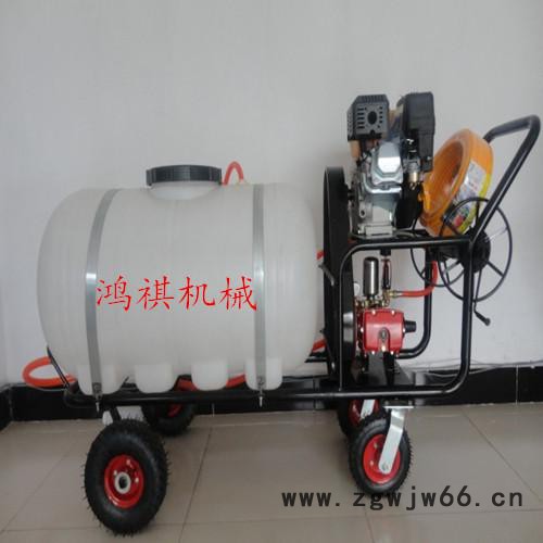 果园杀虫打药机高效弥雾机 多喷头自走式玉米打药机 HQ图4