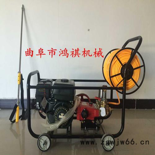 果园杀虫打药机高效弥雾机 多喷头自走式玉米打药机 HQ图3