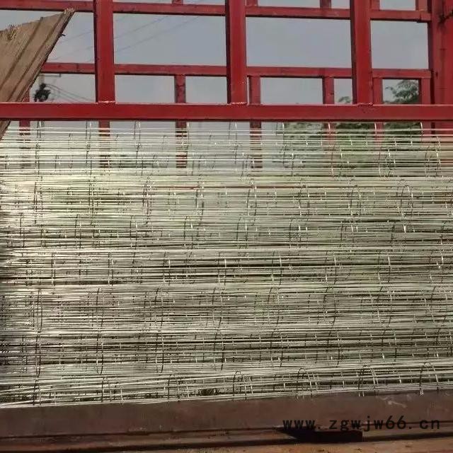弹簧除尘器骨架 布袋除尘骨架 袋撑滤袋滤筒 祥云除尘配图4
