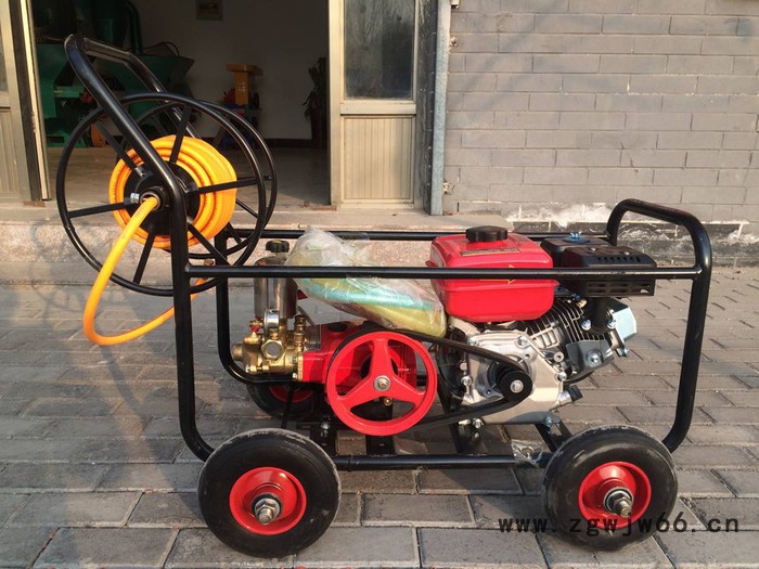 小龙虾饲料颗粒机西昌多喷头农用打药机汽油打药机图3