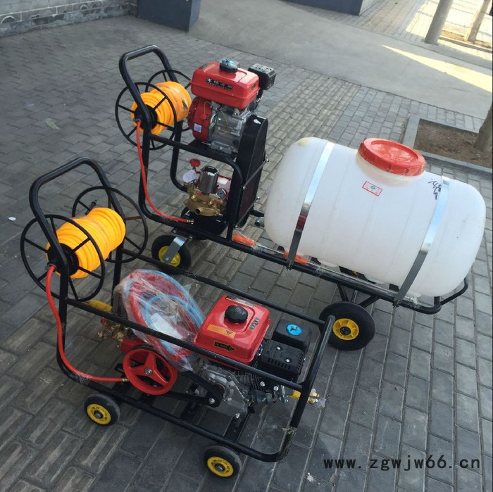 小龙虾饲料颗粒机西昌多喷头农用打药机汽油打药机图2