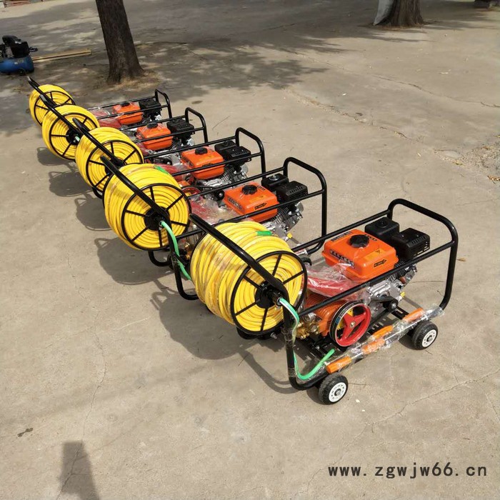 小龙虾饲料颗粒机西昌多喷头农用打药机汽油打药机图5