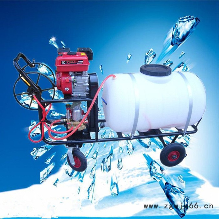 手拎风送式多喷头打药机    稻田拉管打药机   悬挂式喷药机生产厂家图7