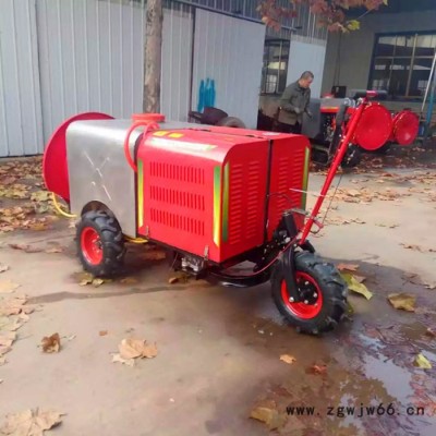 手拎风送式多喷头打药机    稻田拉管打药机   悬挂式喷药机生产厂家