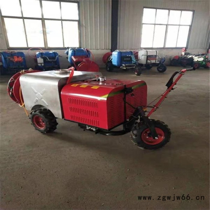 手拎风送式多喷头打药机    稻田拉管打药机   悬挂式喷药机生产厂家图8