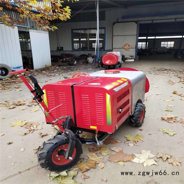 手拎风送式多喷头打药机    稻田拉管打药机   悬挂式喷药机生产厂家图2