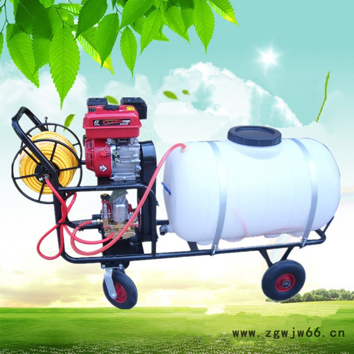 手拎风送式多喷头打药机    稻田拉管打药机   悬挂式喷药机生产厂家图6