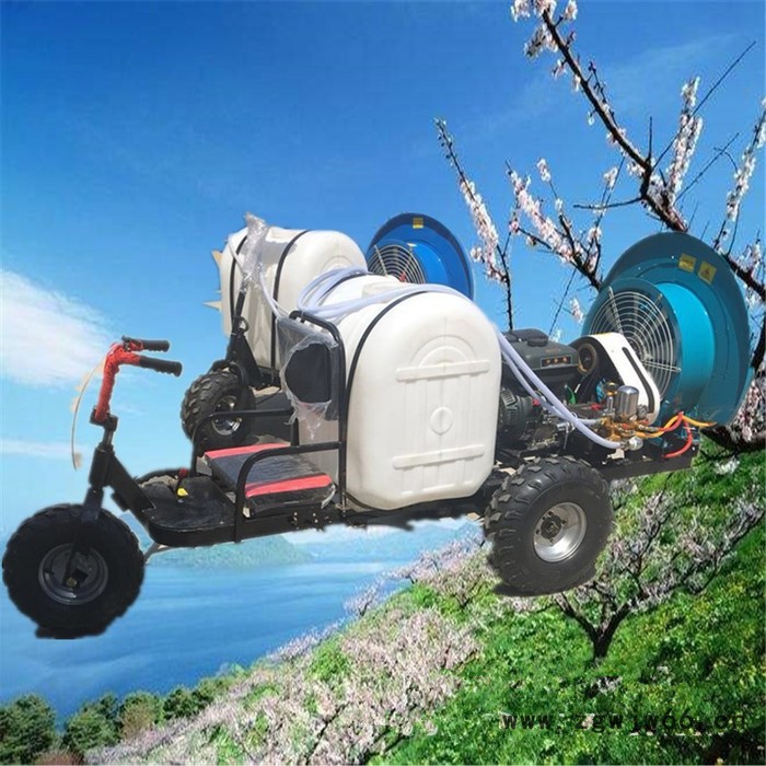 手拎风送式多喷头打药机    稻田拉管打药机   悬挂式喷药机生产厂家图4