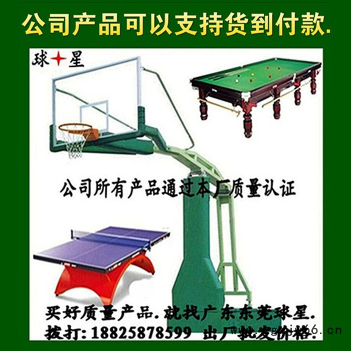 移动式篮球架户外篮球架 标准成人篮球网架 双弹簧篮球圈钢化板.图2