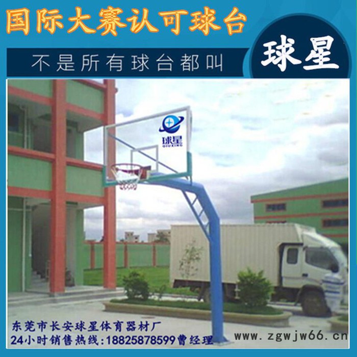 移动式篮球架户外篮球架 标准成人篮球网架 双弹簧篮球圈钢化板.图3