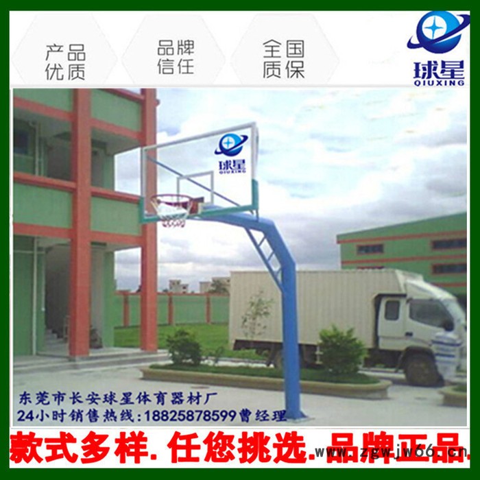 移动式篮球架户外篮球架 标准成人篮球网架 双弹簧篮球圈钢化板.图4