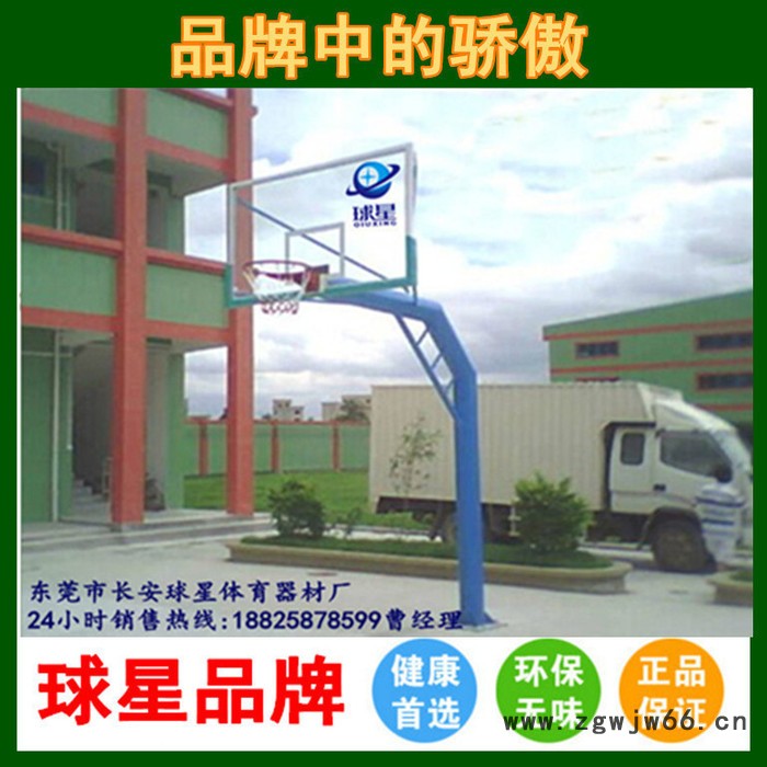 移动式篮球架户外篮球架 标准成人篮球网架 双弹簧篮球圈钢化板.