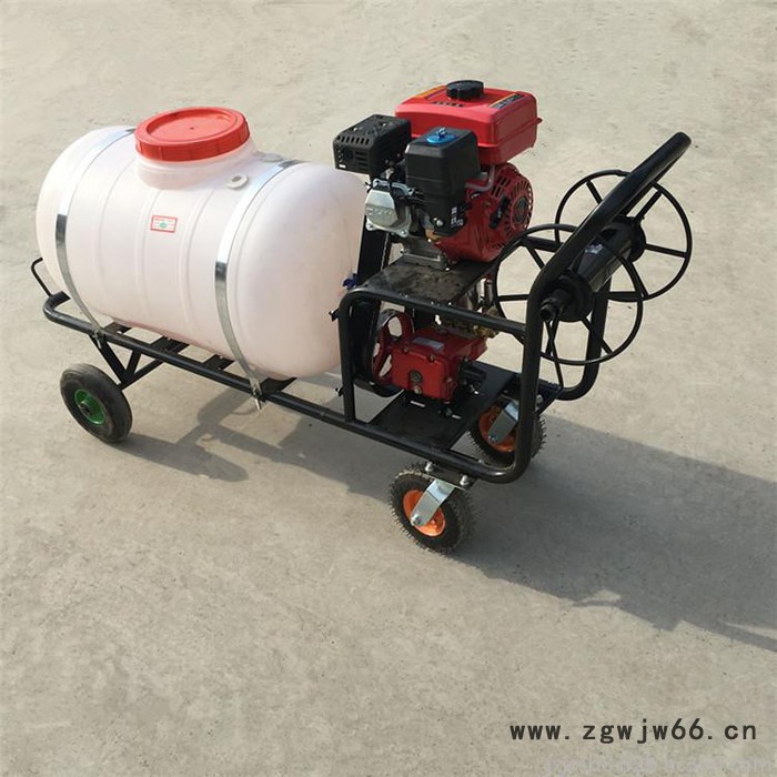 远射程风送式打药机 旱田多喷头自走式喷药机价格图8