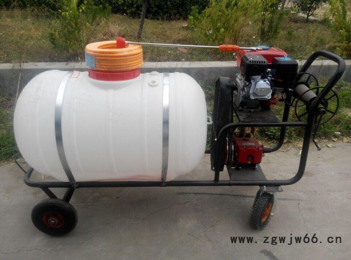 自走式打药机 麦田菜地杀虫喷雾器 多喷头农田打药机图2