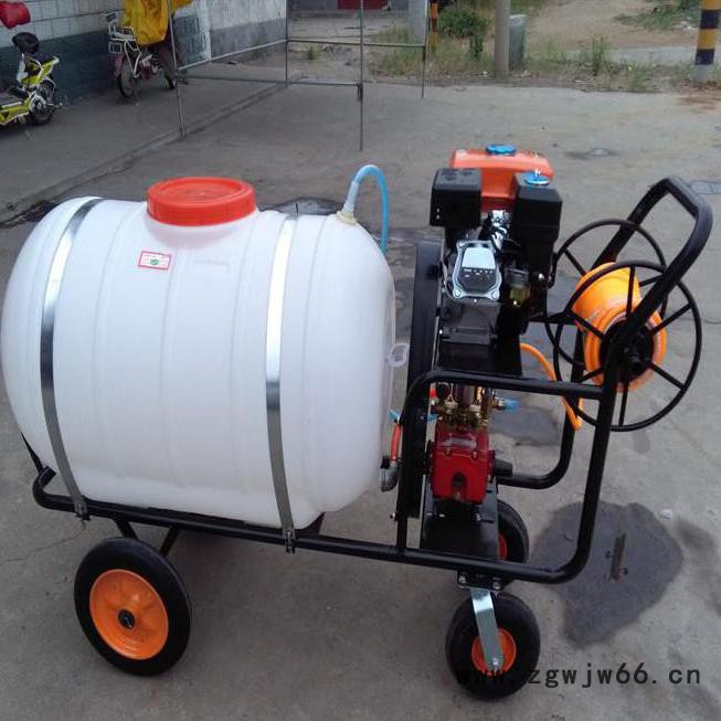 自走式打药机 麦田菜地杀虫喷雾器 多喷头农田打药机图5