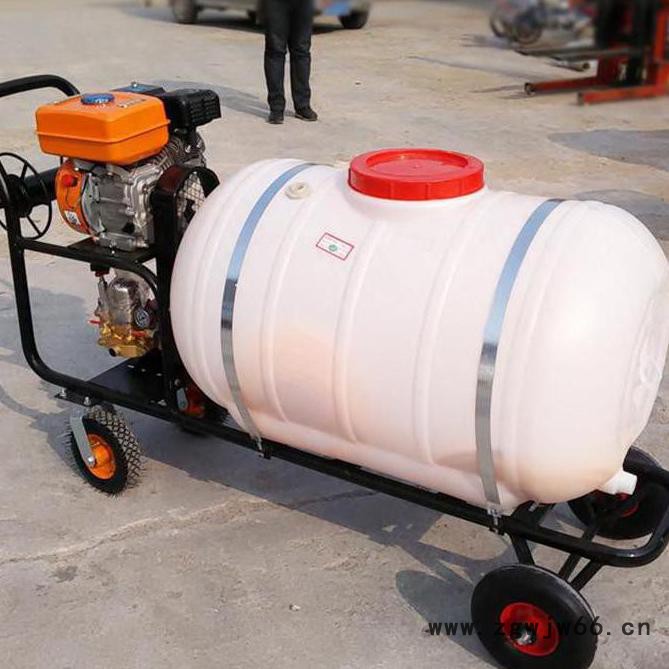 自走式打药机 麦田菜地杀虫喷雾器 多喷头农田打药机图4