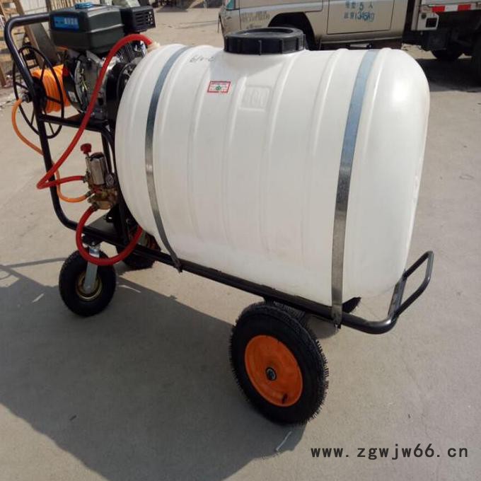 自走式打药机 麦田菜地杀虫喷雾器 多喷头农田打药机图6