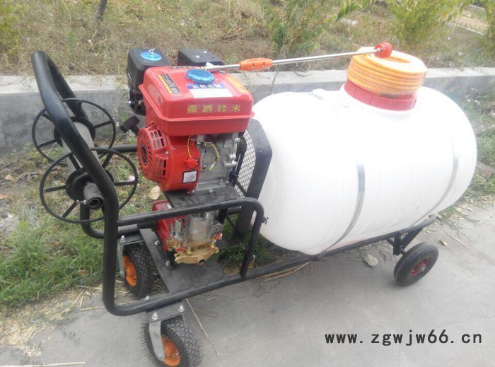 自走式打药机 麦田菜地杀虫喷雾器 多喷头农田打药机图8