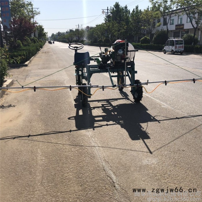 启航大棚杀虫高压喷雾器 汽油多喷头打药机 四轮打药机图2