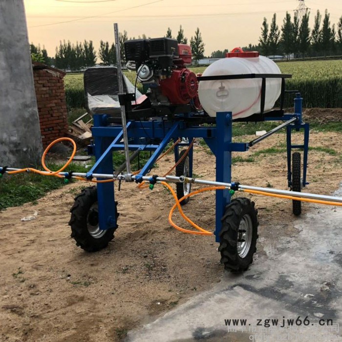 启航大棚杀虫高压喷雾器 汽油多喷头打药机 四轮打药机图3