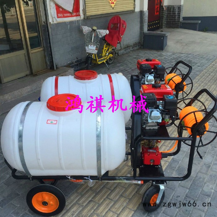 经济实惠汽油打药机 **喷头打药机 鸿祺KJ框架打药机图4