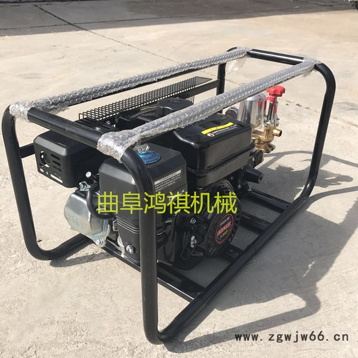 经济实惠汽油打药机 **喷头打药机 鸿祺KJ框架打药机图6