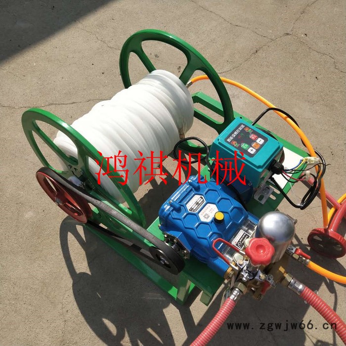 农用高压打药车 自走式手推式喷雾器 农田大棚打药机 高压喷头推车打药机图2