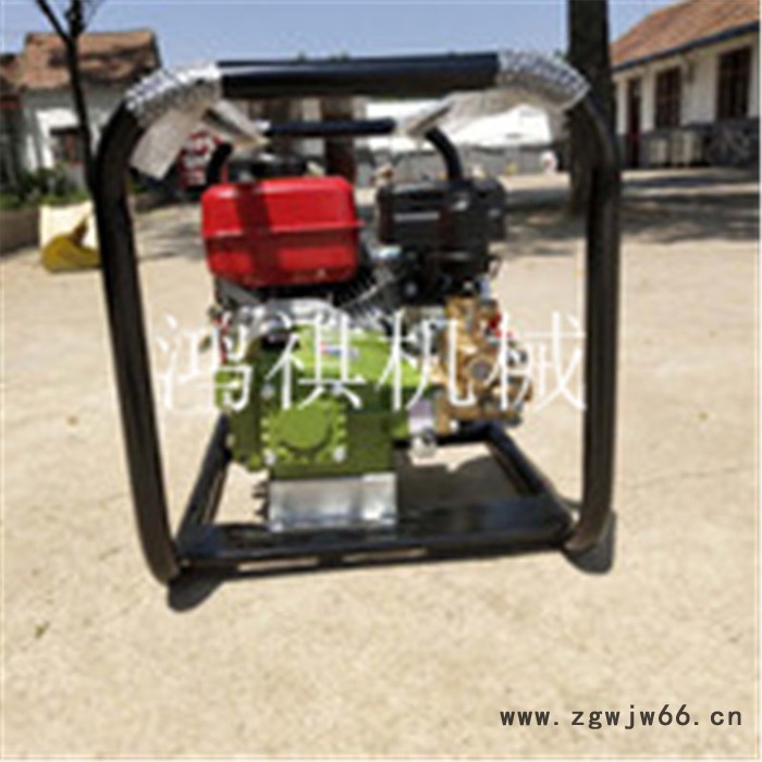农用高压打药车 自走式手推式喷雾器 农田大棚打药机 高压喷头推车打药机图4