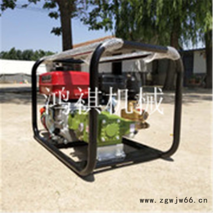 农用高压打药车 自走式手推式喷雾器 农田大棚打药机 高压喷头推车打药机图6