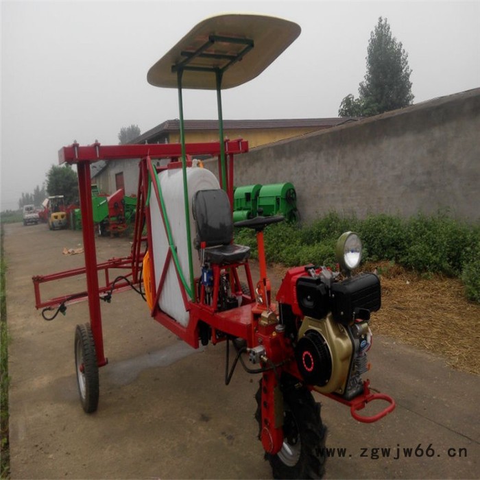 手推灭虫除草喷药机 多喷头自走式喷雾器 大面积农田打药机富兴图4