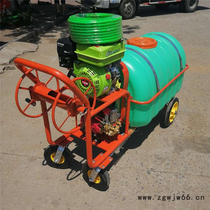 手推灭虫除草喷药机 多喷头自走式喷雾器 大面积农田打药机富兴图8