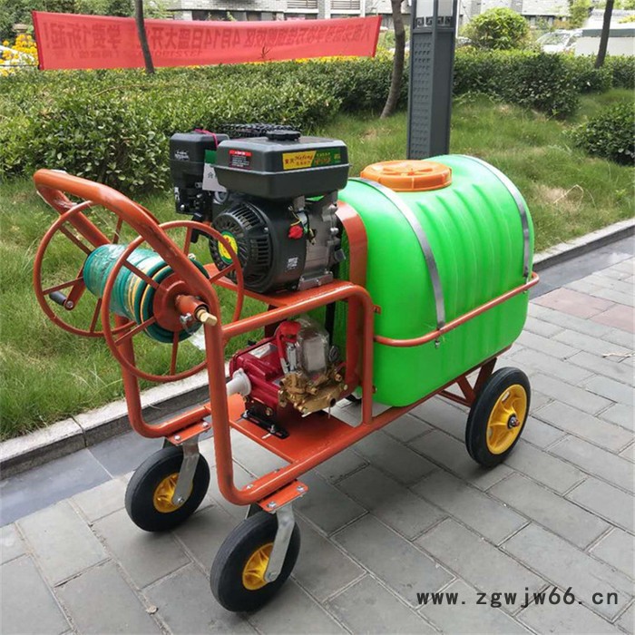 手推灭虫除草喷药机 多喷头自走式喷雾器 大面积农田打药机富兴图3