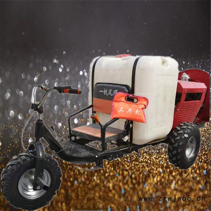 手推灭虫除草喷药机 多喷头自走式喷雾器 大面积农田打药机富兴图6