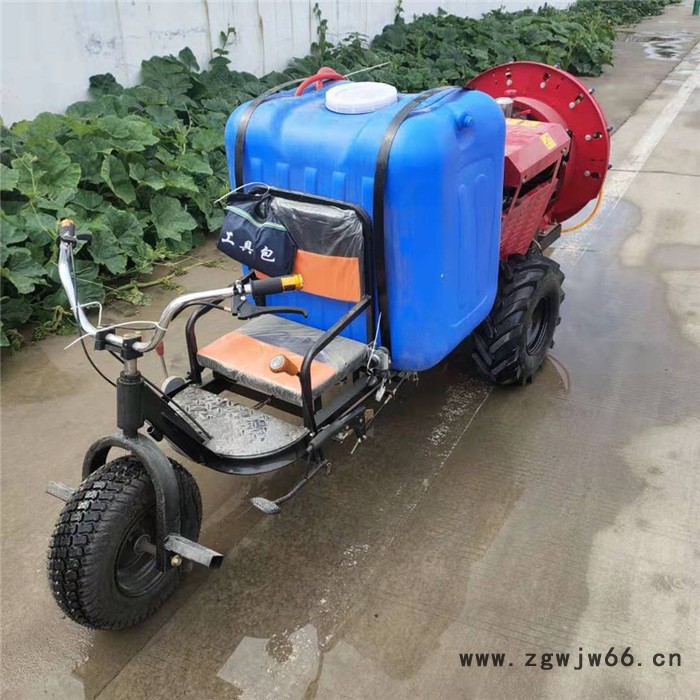 多喷头果树风送式打药机-电动48V60高压自动卷管遥控喷雾器  果园杀虫推车式高压打药机厂家图4