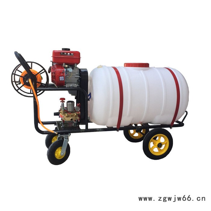 电动缠管打药机   强劲动力汽油打药机 多自走打药机生产厂家 手推式园林打药车 电动 担架式打药机喷头电动打药机图2