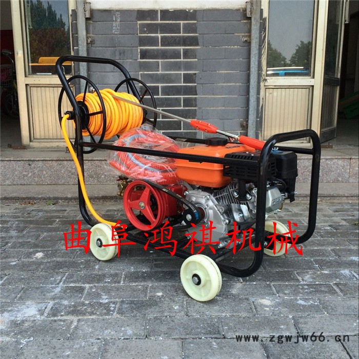 济南 多喷头农用打药机 多功能经久耐用 农药水喷雾机H图2