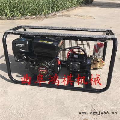 济南 多喷头农用打药机 多功能经久耐用 农药水喷雾机H