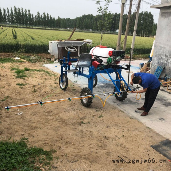 农用高杆打药车 多喷头可调喷雾器 花生地用喷药机厂家图4