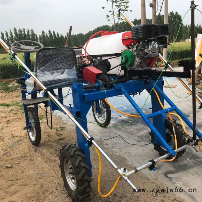 农用高杆打药车 多喷头可调喷雾器 花生地用喷药机厂家图3