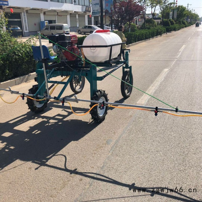农用高杆打药车 多喷头可调喷雾器 花生地用喷药机厂家图8