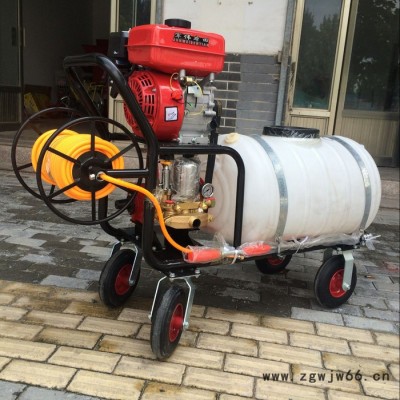 ,框架式汽油打药机A果园喷雾打药机多喷头农用打药机